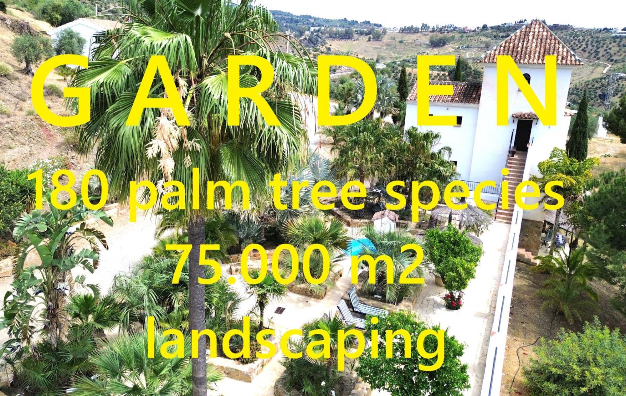טולוקס Private Detached Chalet With Own Jacuzzi Mi Dushi מראה חיצוני תמונה