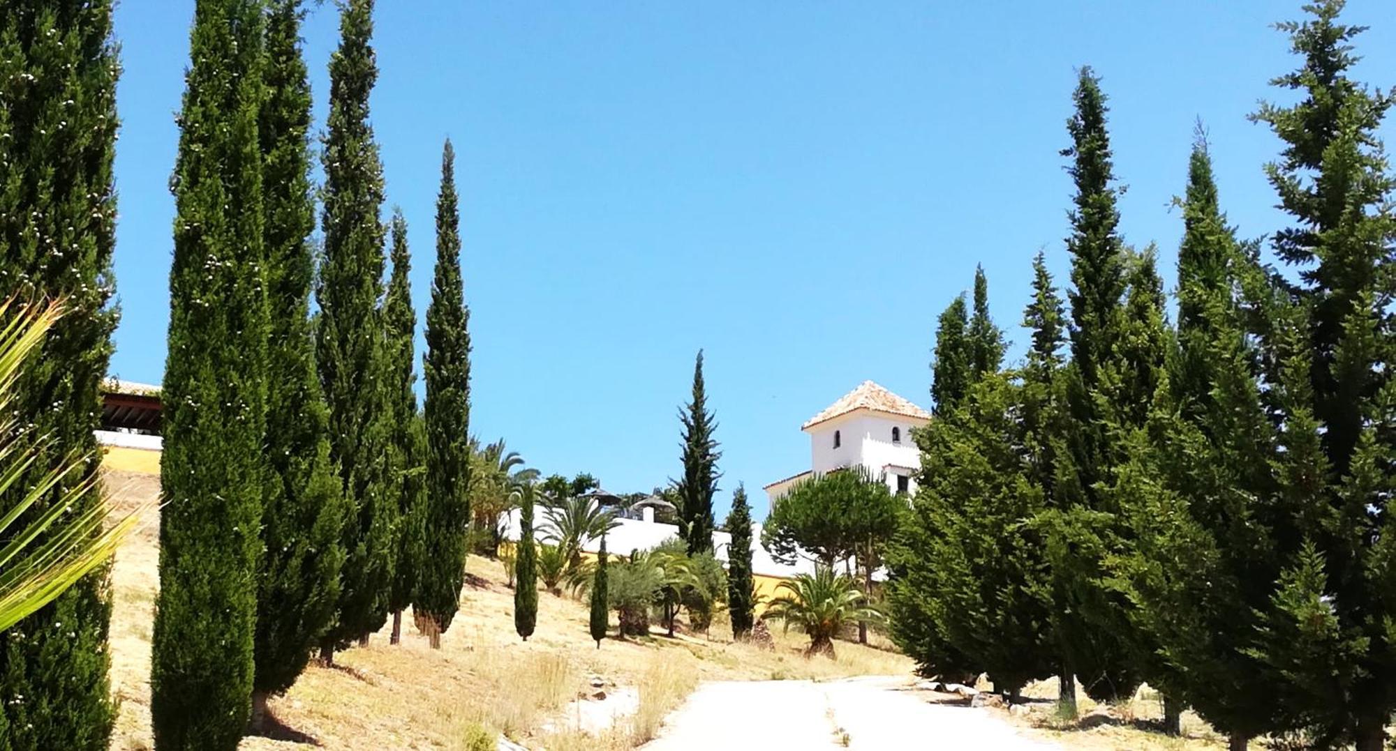 טולוקס Private Detached Chalet With Own Jacuzzi Mi Dushi מראה חיצוני תמונה