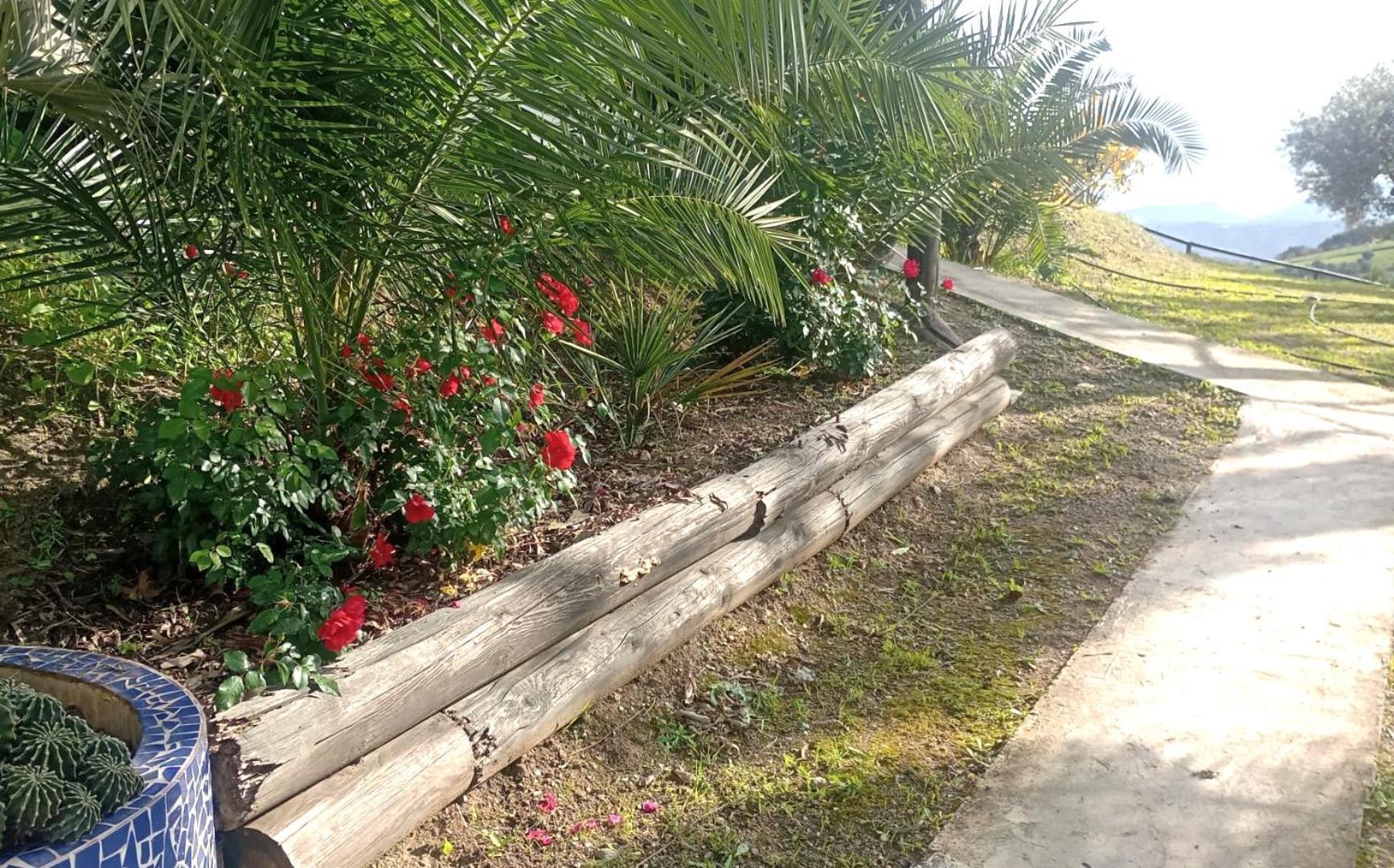 טולוקס Private Detached Chalet With Own Jacuzzi Mi Dushi מראה חיצוני תמונה